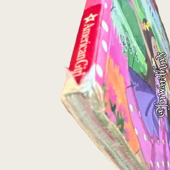 Bundle Sale 3 for $15 | WellieWishers | Ashlyn’s UnSurprise Party #2 - Picture 4 of 10